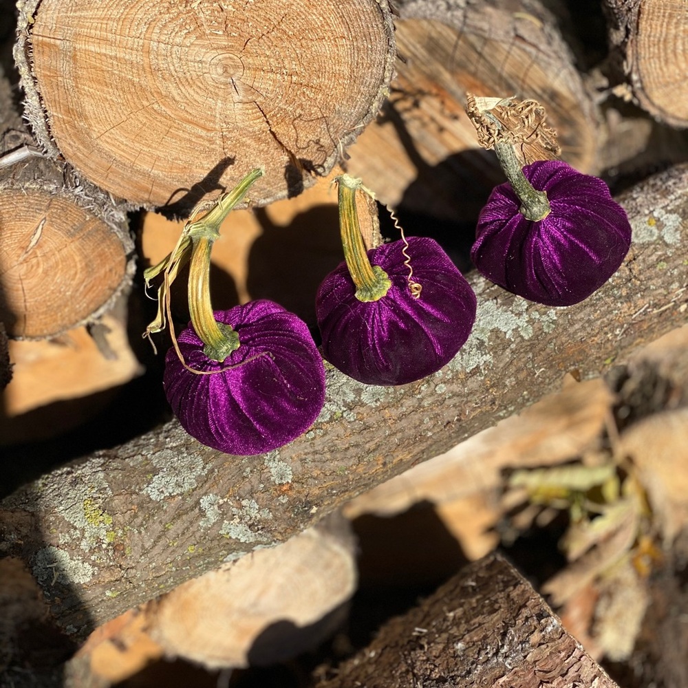 Velvet pumpkins - Picture 4 of 5